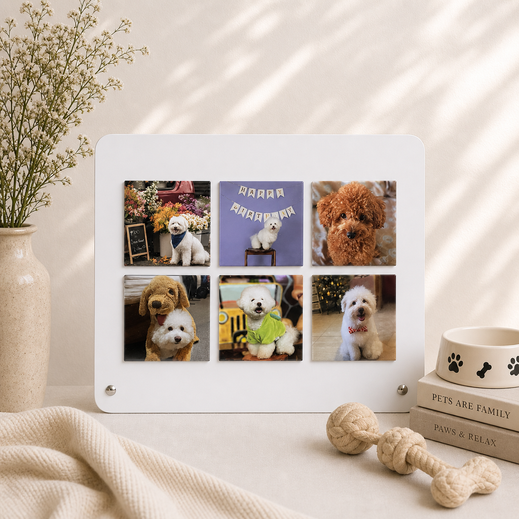 Custom Photo Magnets | Set of 6